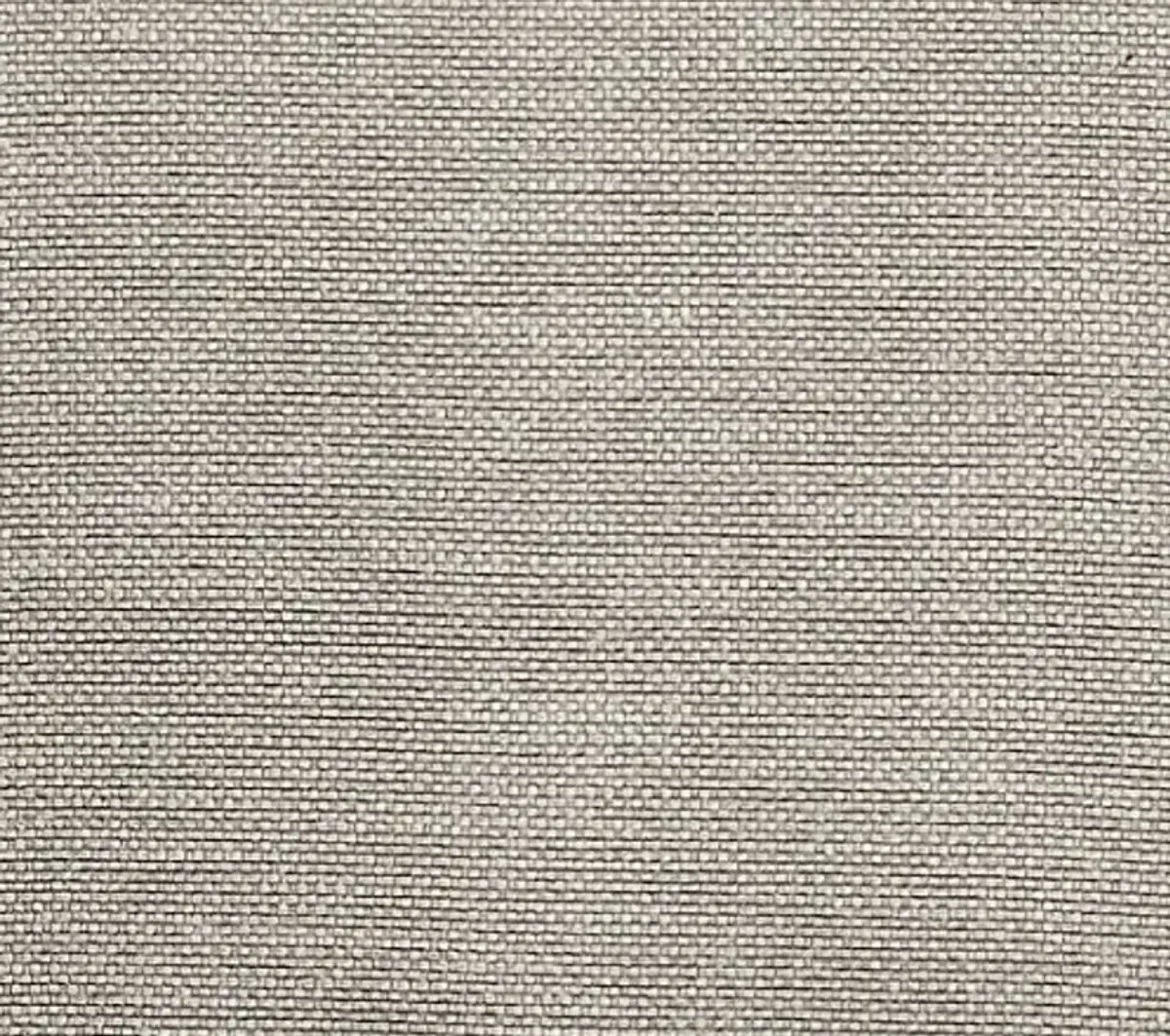 Homelegance Savion Contemporary Side Chair with Rolled Back and Nailheads, Espresso