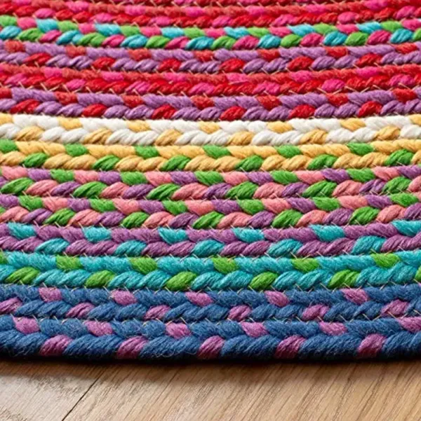 SAFAVIEH Washable Rug Outdoor Braided Collection - 4' Round, Multi, Handmade & Reversible, Non-Shedding & Easy to Clean, Ideal for Patio, Backyard, Mudroom (BRD316A)