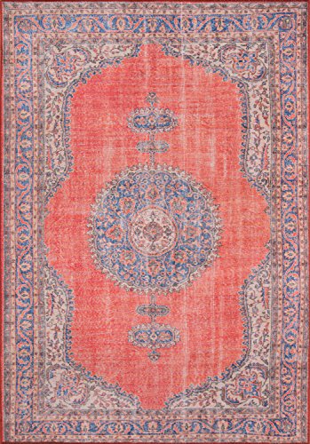 Momeni Rugs Afshar Traditional Medallion Area Rug x, 2'0" x 3'0", Red