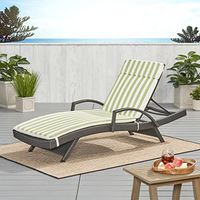 Christopher Knight Home Salem Chaise Outdoor Lounge