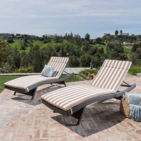 Christopher Knight Home 599 Salem Chaise Lounge (Set of 2)
