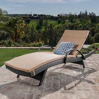 Christopher Knight Home 547 Salem Outdoor Chaise Lounge