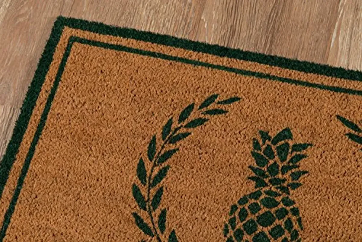 Erin Gates by Momeni Park Pineapple Green Hand Woven Natural Coir Doormat 1'6" X 2'6"