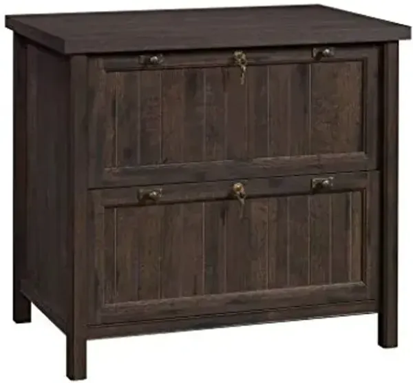 Sauder Costa Lateral File Cabinet, 2-Drawer, Coffee Oak, Locking, Rustic Cottage Style