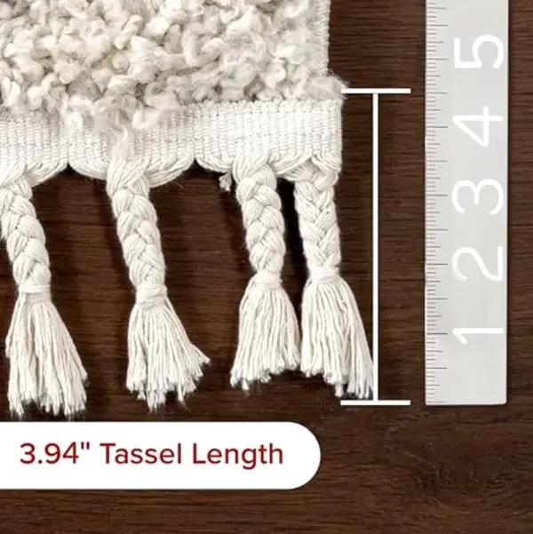 nuLOOM Bria Moroccan Shag Tasseled Area Rug - 4x6 Shag Area Rug Modern/Contemporary Off-White/Charcoal Rugs for Living Room Bedroom Dining Room Nursery
