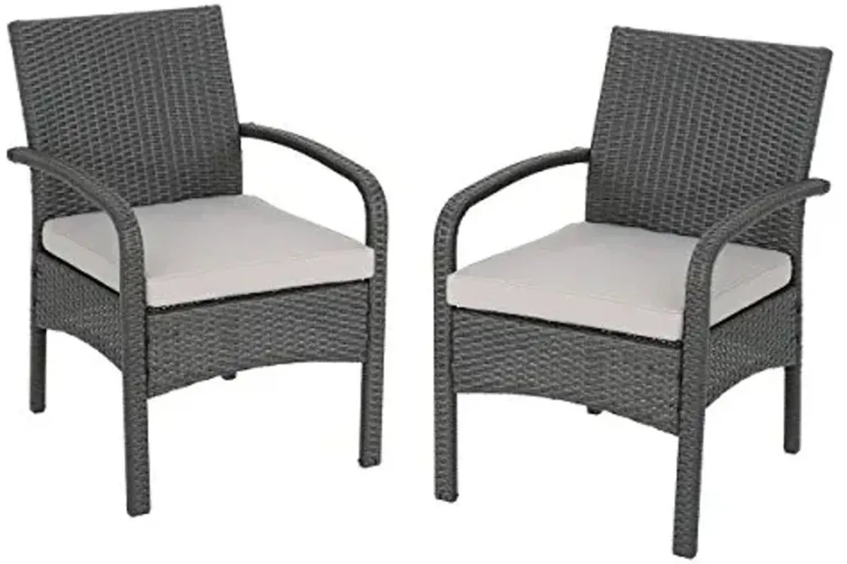 Otto Outdoor Wicker Club Chair, Gray and Silver(Set of 2)