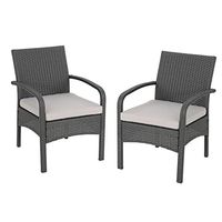 Christopher Knight Home 305810 Otto Outdoor Wicker Club Chair, Gray and Silver(Set of 2)
