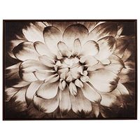 Signature Design by Ashley Phiala Contemporary Floral Canvas Wall Art, 48 x 36, Brown