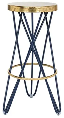 Navy / Gold color
