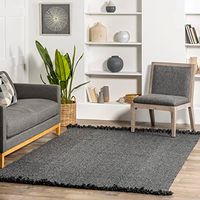 nuLOOM Courtney Braided Indoor/Outdoor Area Rug, 4' x 6', Charcoal