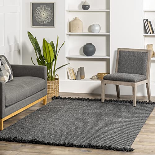 nuLOOM Courtney Braided Indoor/Outdoor Area Rug, 4' x 6', Charcoal
