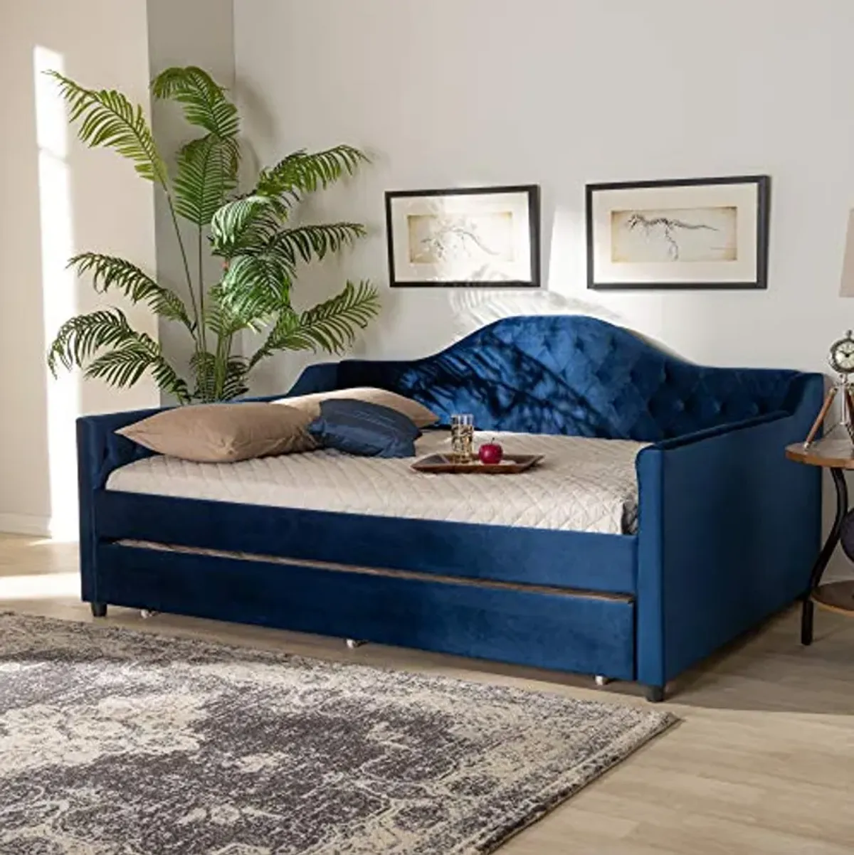 Baxton Studio Daybeds, Full, Royal Blue