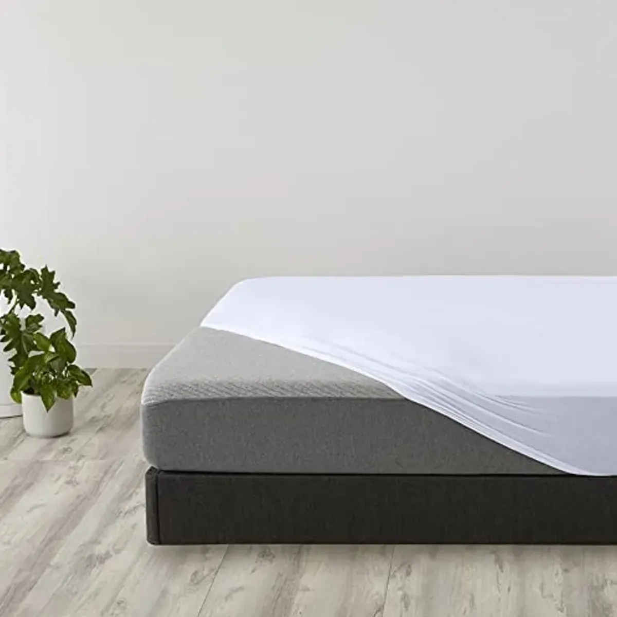 Casper Sleep Box Spring Foundation for King Mattress