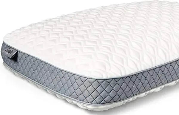 Sealy Memory Foam Bed Pillow