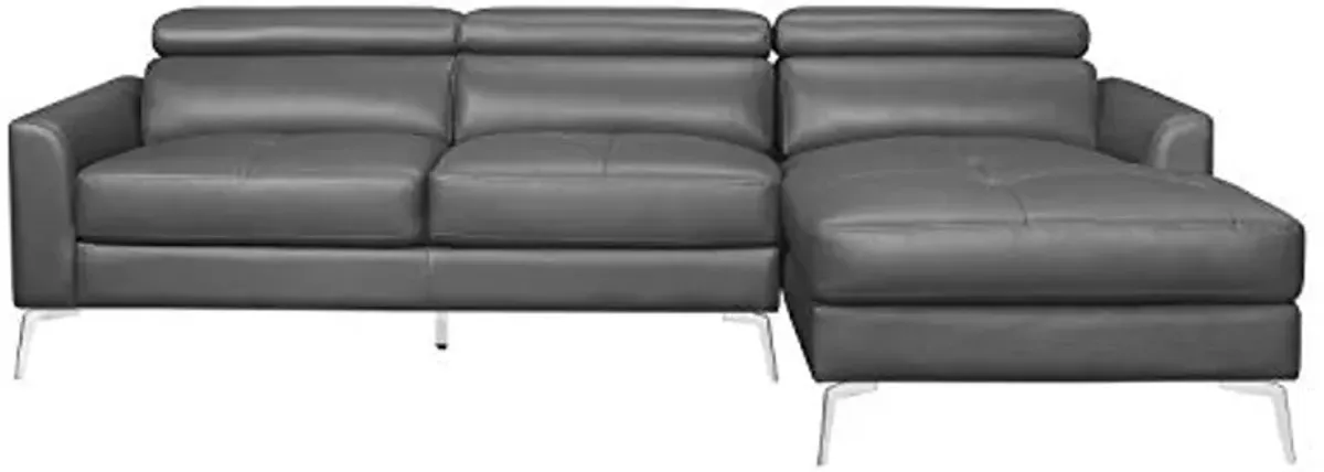 Lexicon Riggi Sectional Sofa Chaise, Gray