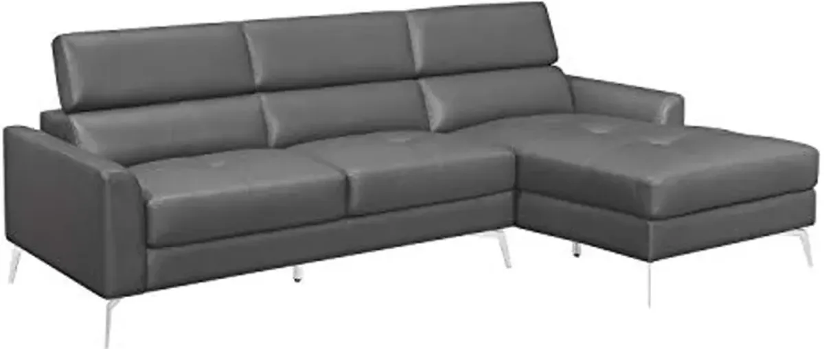 Lexicon Riggi Sectional Sofa Chaise, Gray