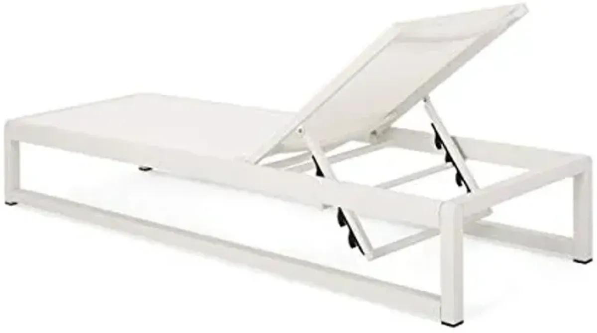 Christopher Knight Home Eudora Outdoor Chaise Lounge (Set of 2), White