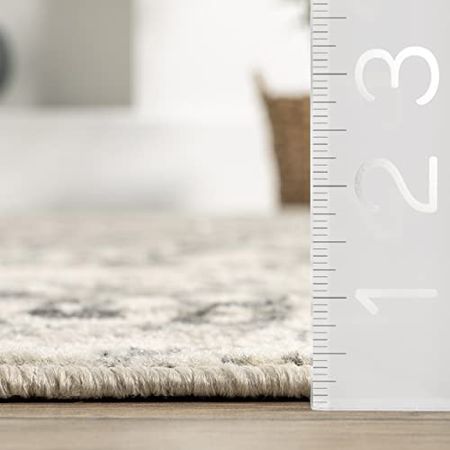nuLOOM Freja Distressed Area Rug, 4' x 6', Grey