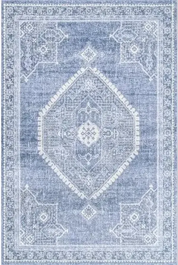 nuLOOM Vintage Oriental Style Distressed Isla Area Rug, 10x14, Blue