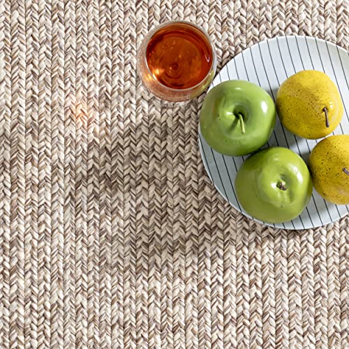 nuLOOM Wynn Braided Indoor/Outdoor Area Rug, 12' x 18', Tan