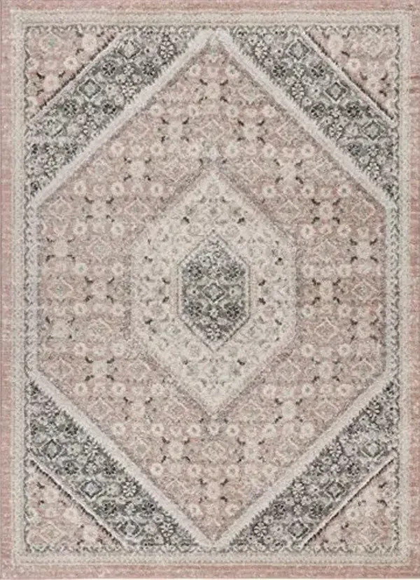 LR Home Indoor 5x7 Area Rugs for Home Decor Turkish Rugs for Living Room, Bedroom, Playroom, Entryway, Office Medallion Classic Farmhouse Boho Area Rug for Room Decor Blush/Ivory/Gray