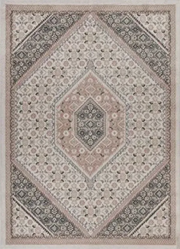 LR Home Indoor 8x10 Area Rugs for Home Decor Turkish Rugs for Living Room, Bedroom, Playroom, Entryway, Office Medallion Classic Farmhouse Boho Area Rug for Room Decor Ivory/Gray/Blush