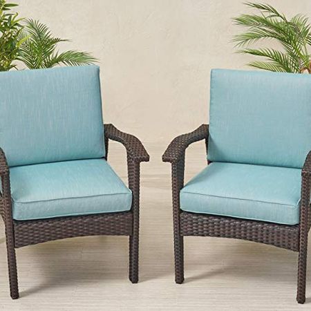 Christopher Knight Home 313449 Cushions, Teal