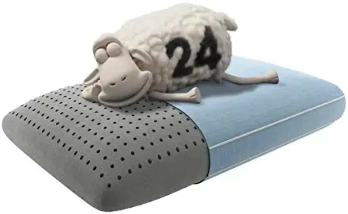 Serta Perfect Sleeper Graphite Infused Memory Foam Pillow, Oversized Traditional, 1 Count (Pack of 1),Grey