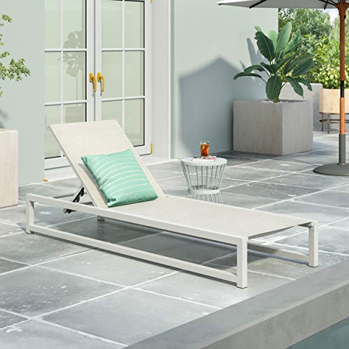 Christopher Knight Home Jerome Outdoor Aluminum Chaise Lounge with Mesh