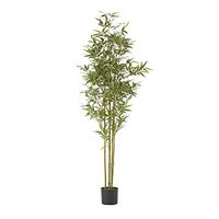 Christopher Knight Home Soperton Artificial Bamboo Plants, 6 ft x 2 ft, Black + Green