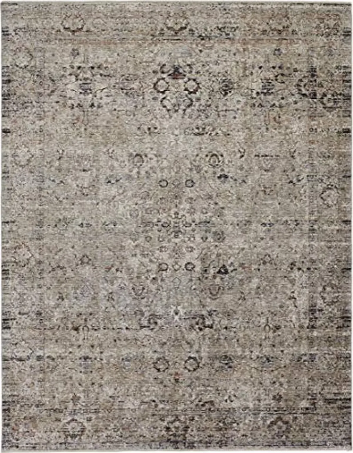 Feizy Rugs - Caprio Collection, Traditional Distressed Area Rug - Sand 2' X 3'-4"