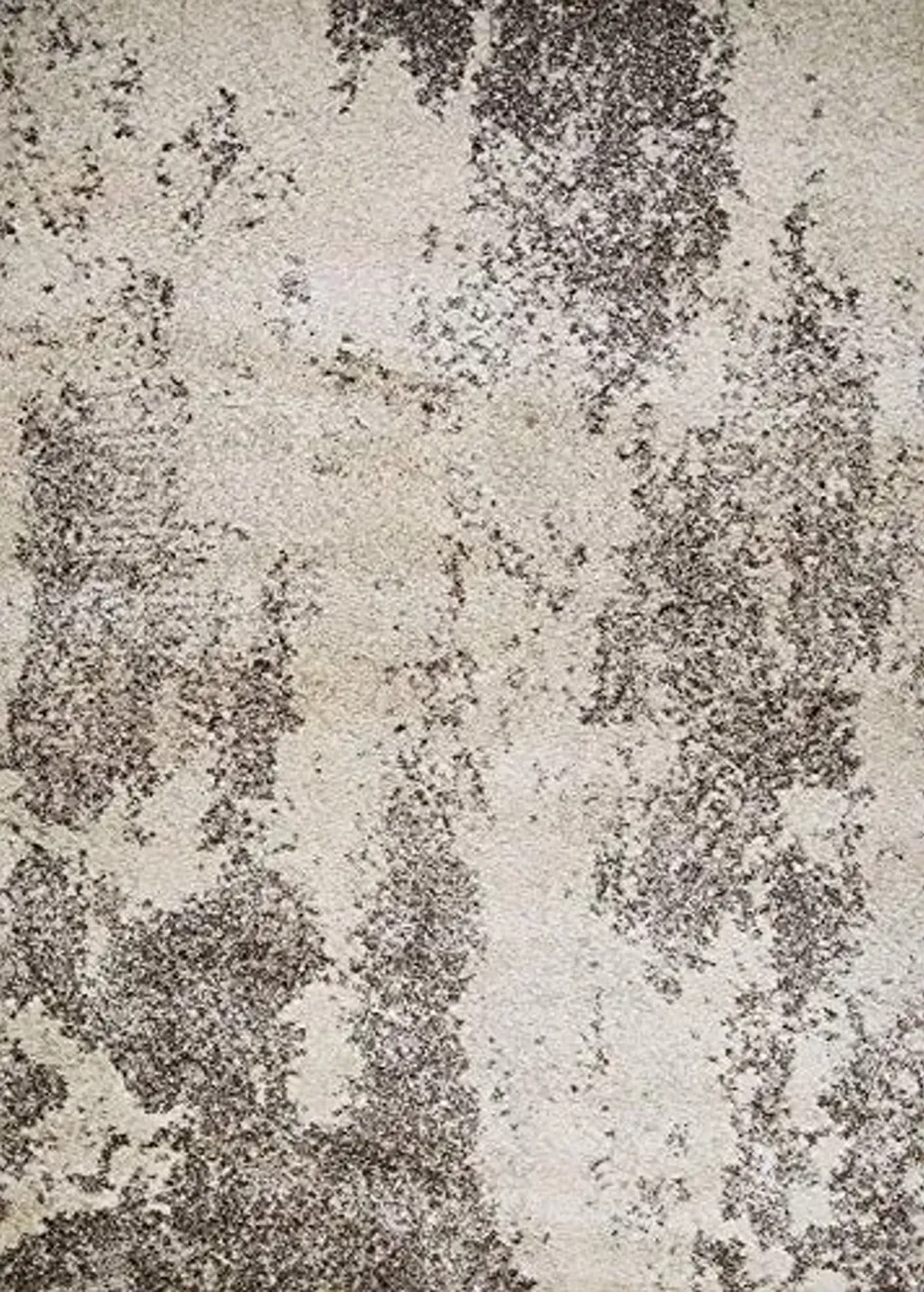 Couristan Bromley Taiga Area Rug, 2' x 3'11", Frost-Ivory