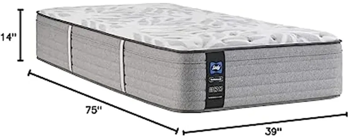 Sealy Posturepedic Spring Silver Pine Faux Eurotop Firm Feel Mattress and 5-Inch Foundation, Twin