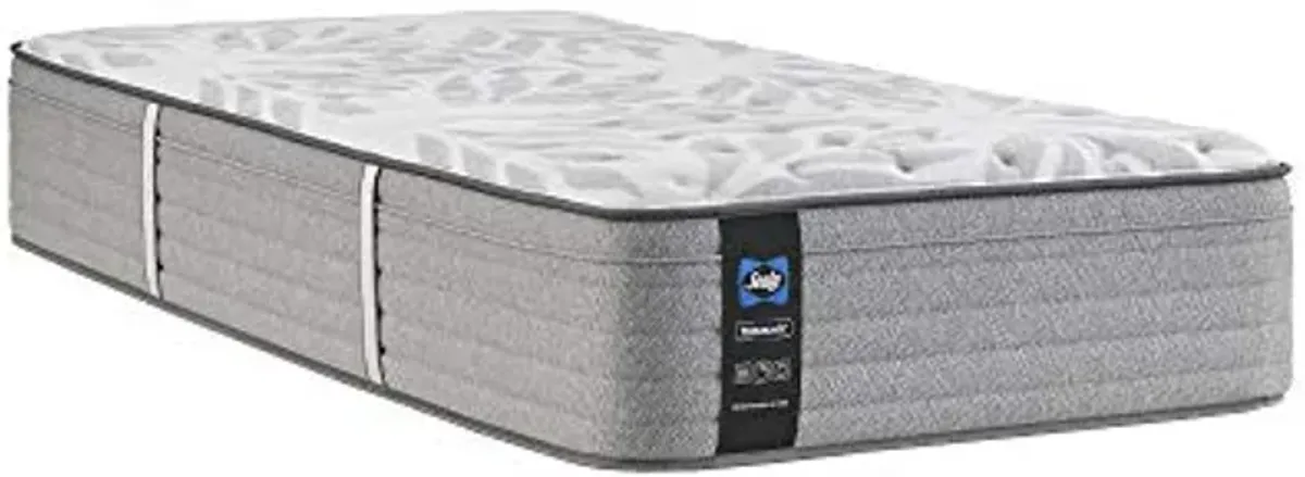 Sealy Posturepedic Spring Silver Pine Faux Eurotop Firm Feel Mattress and 5-Inch Foundation, Twin