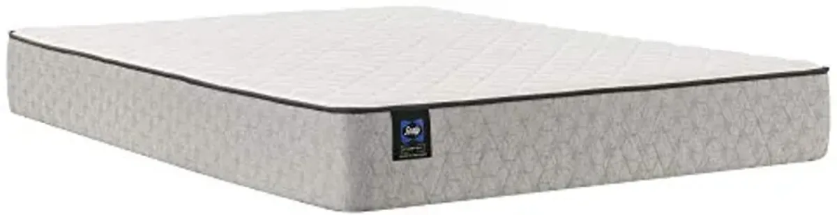 Sealy Essentials Spring Summer Elm Firm Feel Mattress and 5-Inch Foundation, Queen