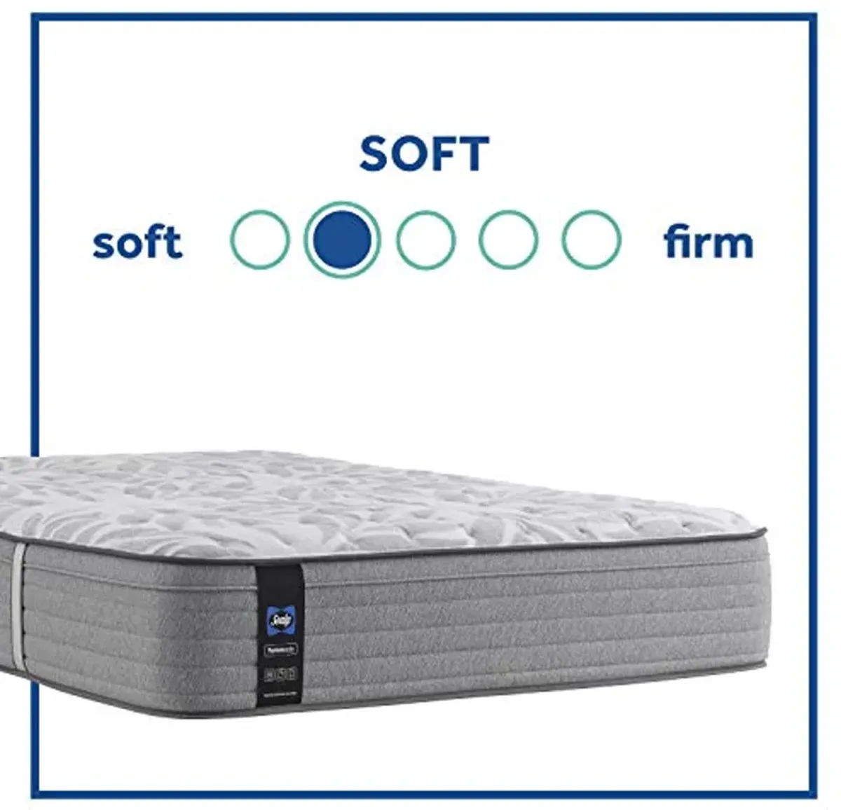 Sealy Posturepedic Spring Silver Pine Faux Eurotop Soft Feel Mattress and 5-Inch Foundation, Twin XL