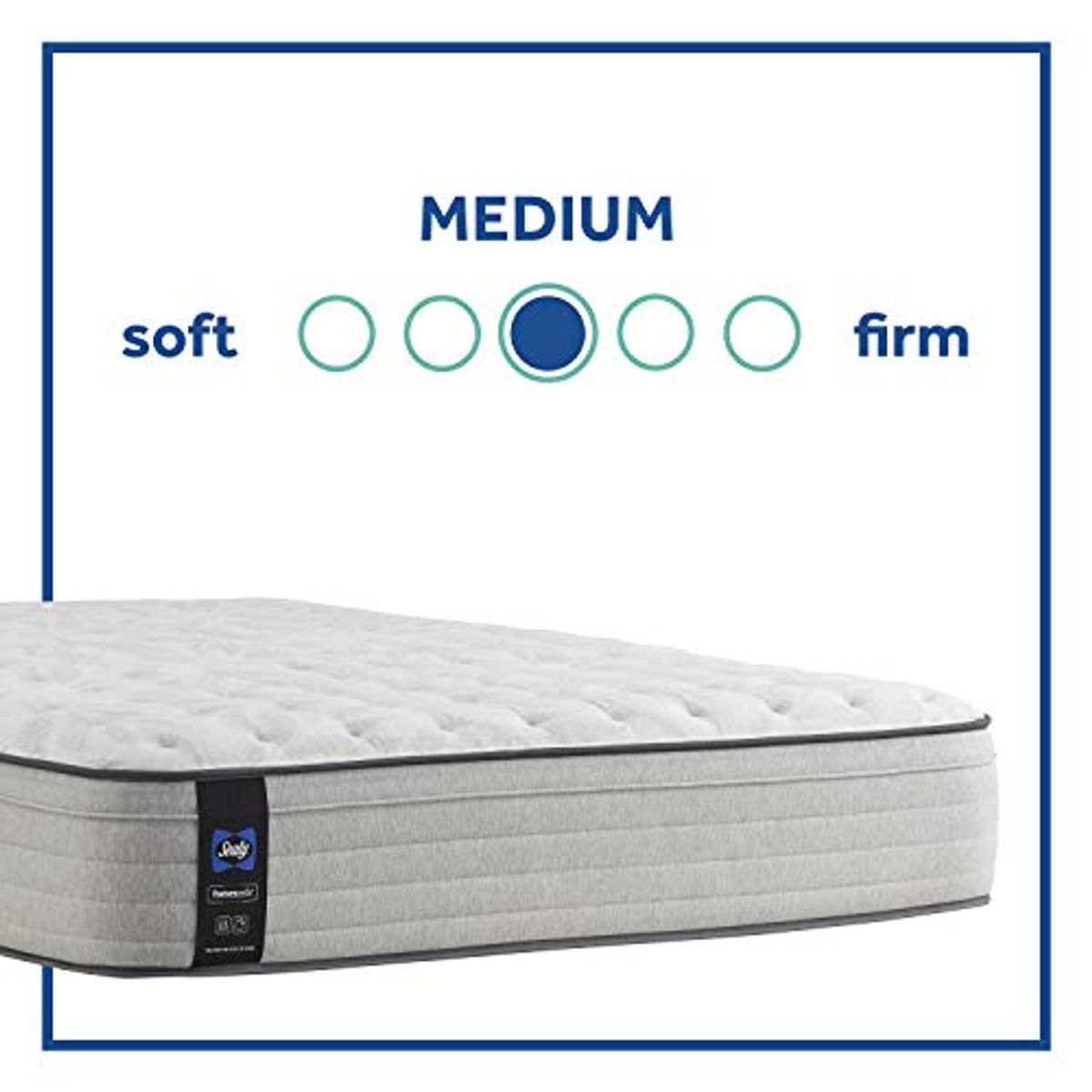 Sealy Posturepedic Spring Summer Rose Faux Eurotop Medium Feel Mattress and 5-Inch Foundation, Full