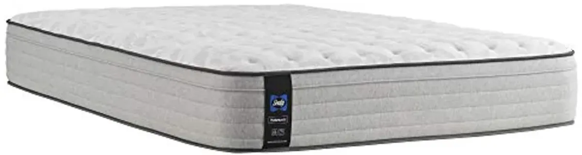 Sealy Posturepedic Spring Summer Rose Faux Eurotop Medium Feel Mattress and 5-Inch Foundation, Full