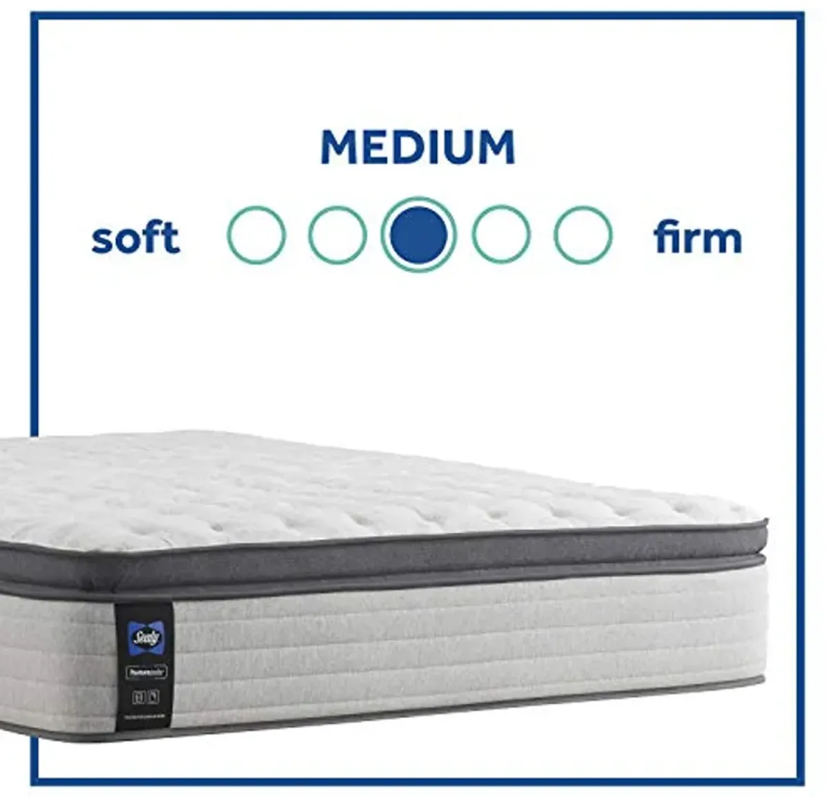 Sealy Posturepedic Spring Summer Rose Euro Pillowtop Medium Feel Mattress and 5-Inch Foundation, Full