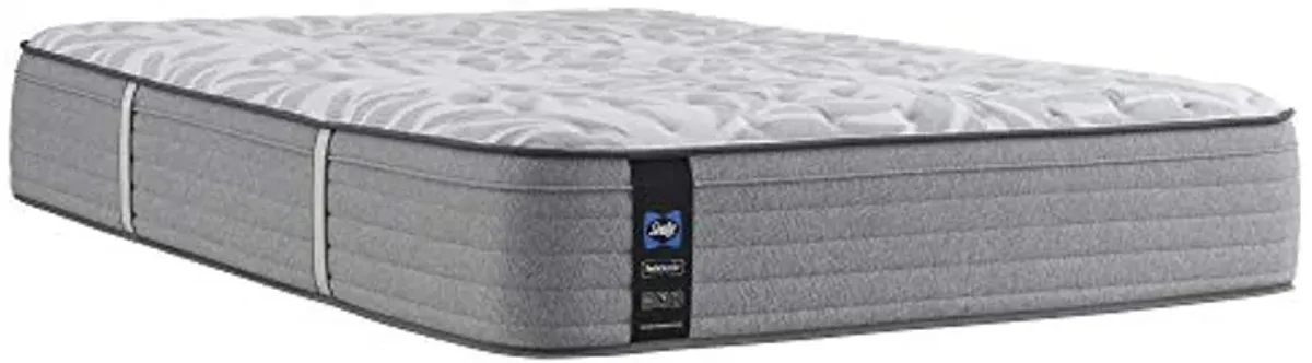 Sealy Posturepedic Spring Silver Pine Faux Eurotop Medium Feel Mattress, Queen