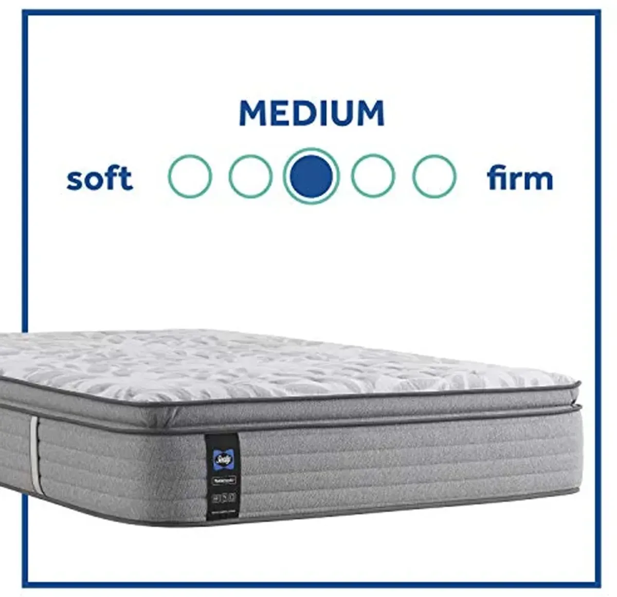 Sealy Posturepedic Spring Silver Pine Euro Pillowtop Medium Feel Mattress and 9-Inch Foundation, Full