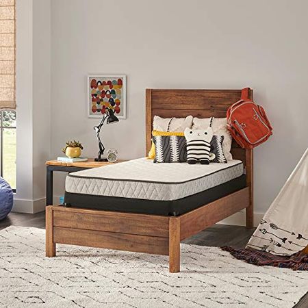 Sealy Essentials Spring Spruce Firm Feel Mattress and 5-Inch Foundation, Twin