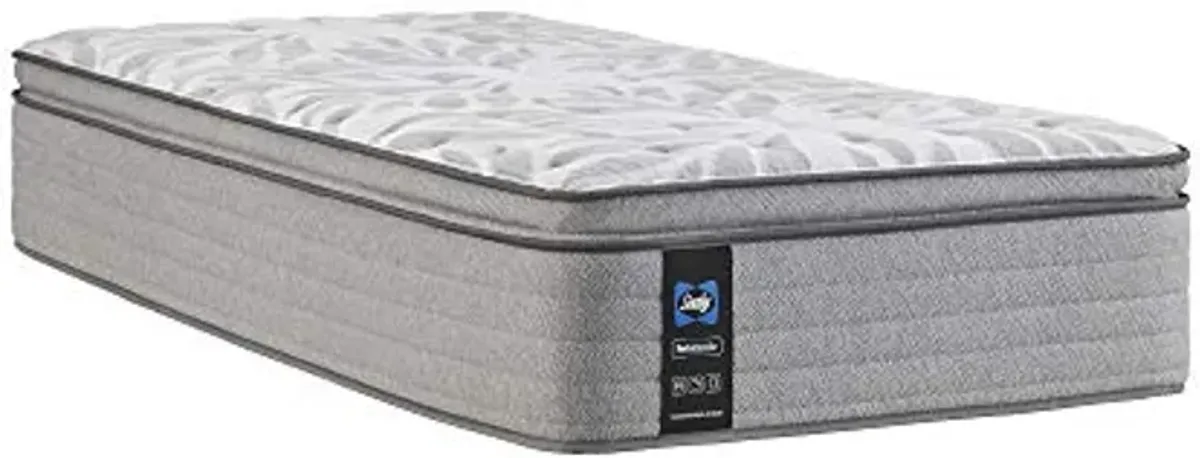 Sealy Posturepedic Spring Red Maple Euro Pillowtop Soft Feel Mattress and 9-Inch Foundation, Twin