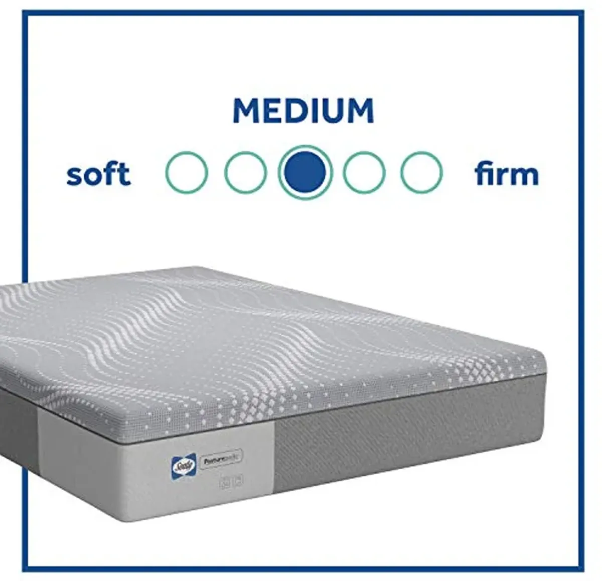 Sealy Posturepedic Foam Paterson Medium Feel Mattress, Queen