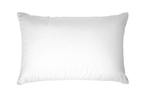 Best Western Dream Maker Pillow Found in Many Best Western Hotels King Set of 2