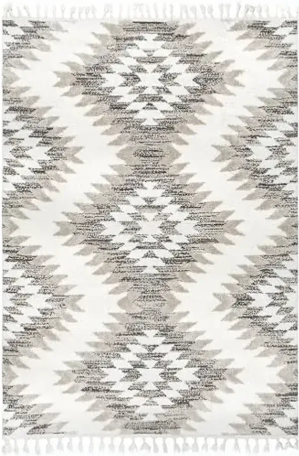 nuLOOM Adelade Beige/Ivory, 4' x 6', Southwestern, Shaggy, Soft and Cozy, High Traffic, Stain Resistant Area Rug for Bedroom, Living Room, Dining Space, Den, Foyer, Entryway