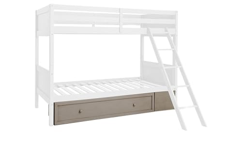 Signature Design by Ashley Lettner Traditional Under Bed Storage ONLY, Light Gray