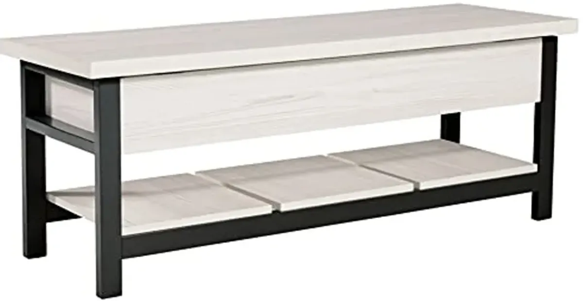 Signature Design by Ashley Rhyson Modern Storage Bench, Black & White