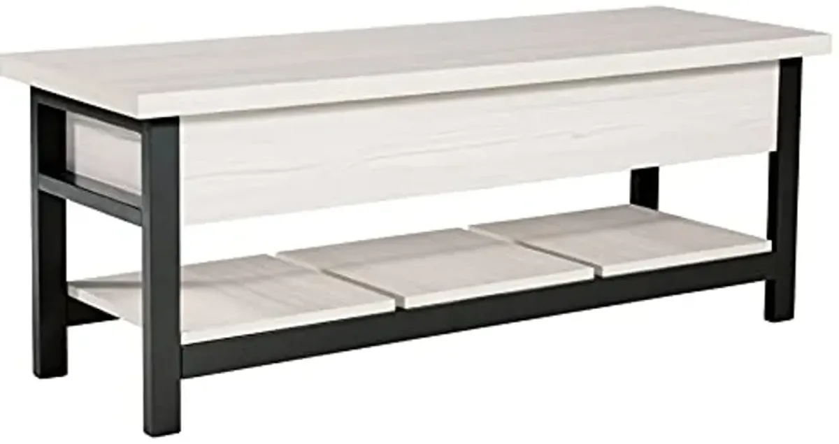 Signature Design by Ashley Rhyson Modern Storage Bench, Black & White