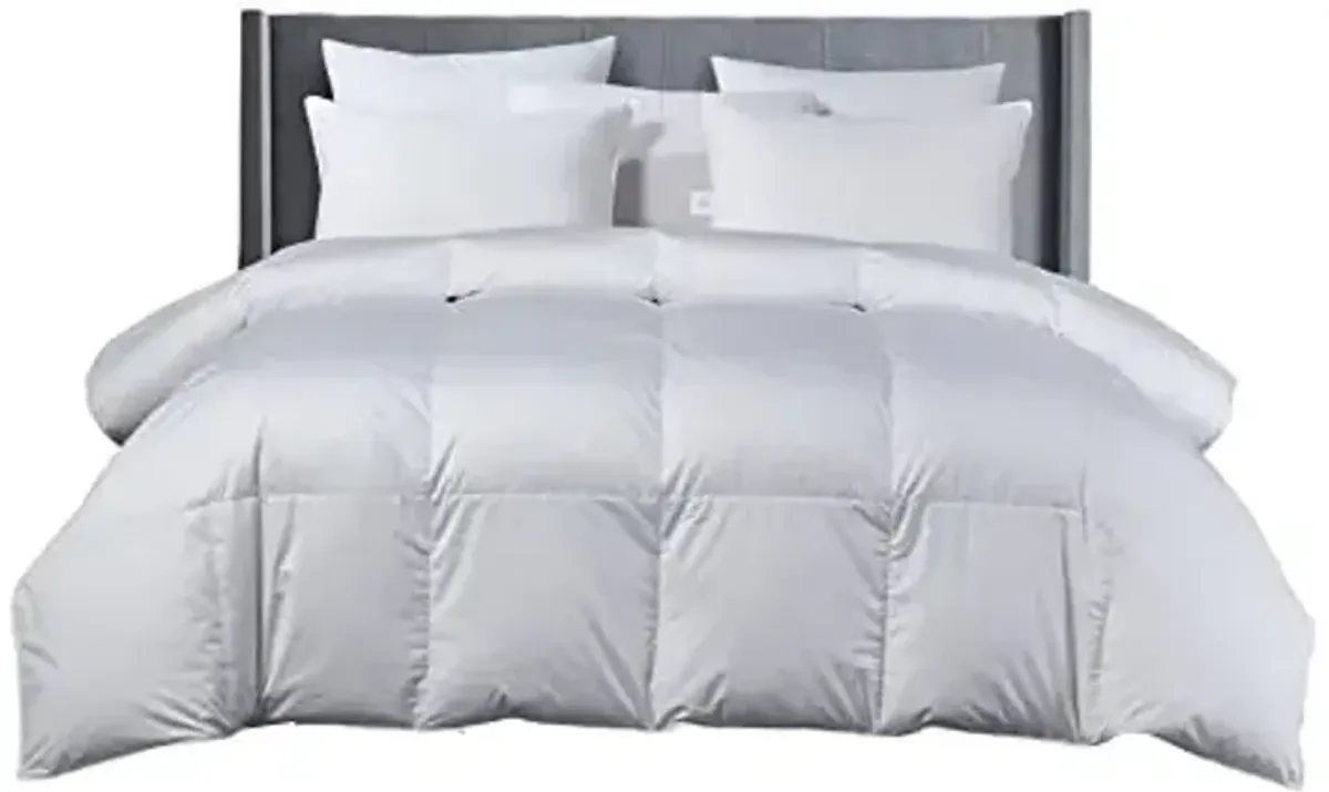 Beautyrest White Goose Down Comforter Twin Size - All Seasons Warmth Sateen Cotton European Down Duvet Insert 650 Fill Power Fluffy Comforter Made in USA